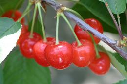 IMG_6324.jpg